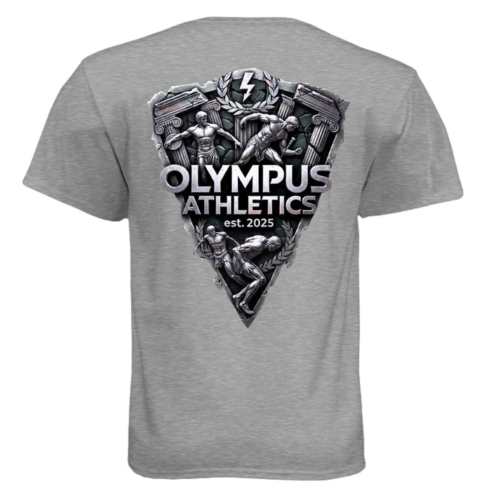 Dark Heather Grey (60/40) - N6210 - BACK