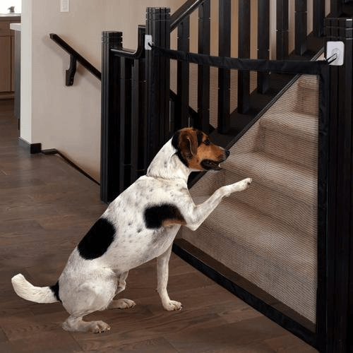 Pets Security Door Guard