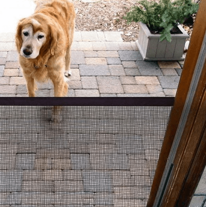Pets Security Door Guard