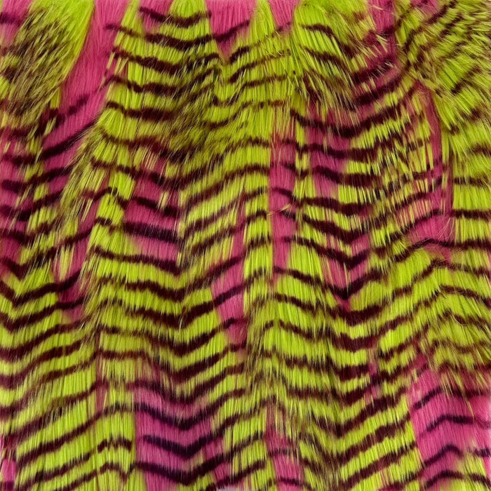 Lime Green | Fuchsia