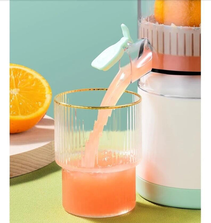 Portable USB Rechargeable Fruit Juicer