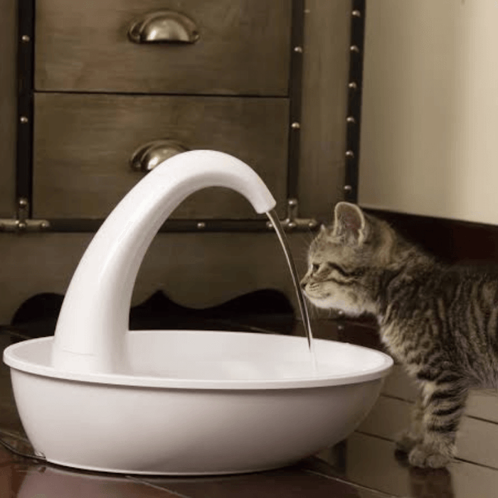 Premium automatic drinking fountain for cats