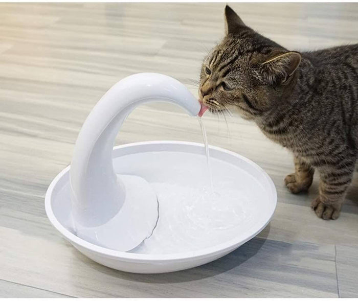 Premium automatic drinking fountain for cats