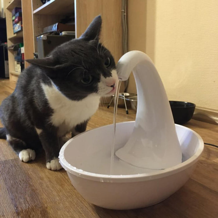 Premium automatic drinking fountain for cats