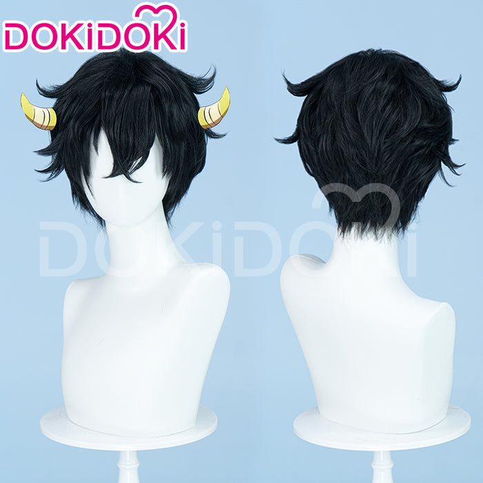 【Ready For Ship】DokiDoki Anime Katekyō Hitman Reborn! Cosplay Wig Ranbo Short Black Hair