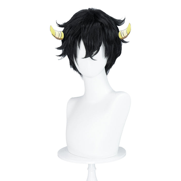 【Ready For Ship】DokiDoki Anime Katekyō Hitman Reborn! Cosplay Wig Ranbo Short Black Hair
