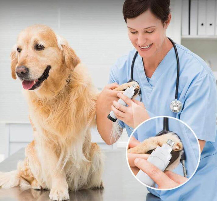 Rechargeable Nail Trimmer For Pets