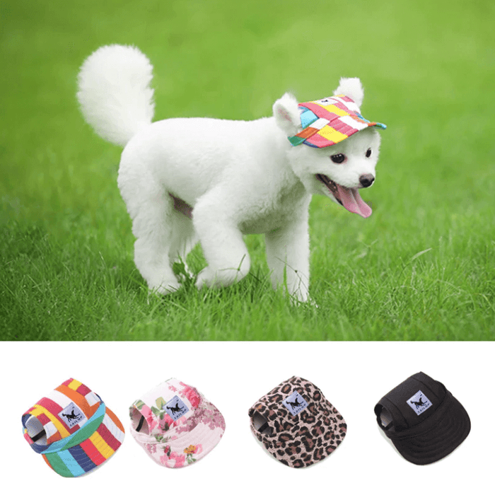 Round Brim Dog Cap