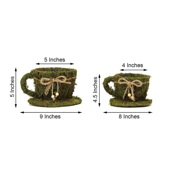 Moss-covered tea cup and saucer set, decorative home accent.