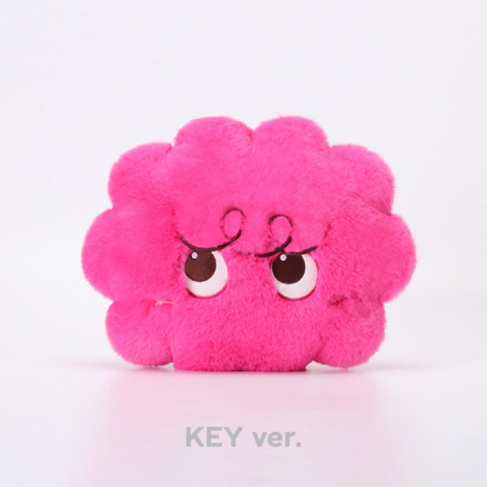 30cm Cushion / KEY