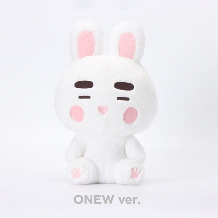 40cm Doll with Voice Message / ONEW