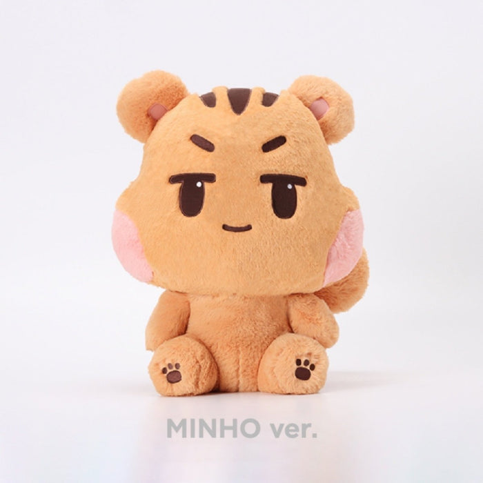 40cm Doll with Voice Message / MINHO