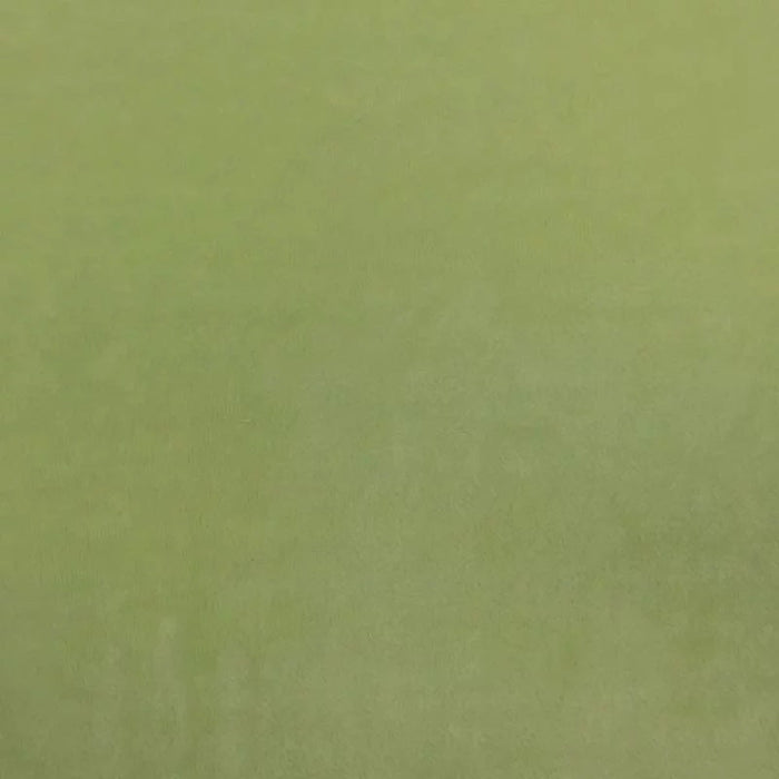Asparagus Green Smooth Minky Faux Fur Fabric - Fashion Fabrics Los Angeles