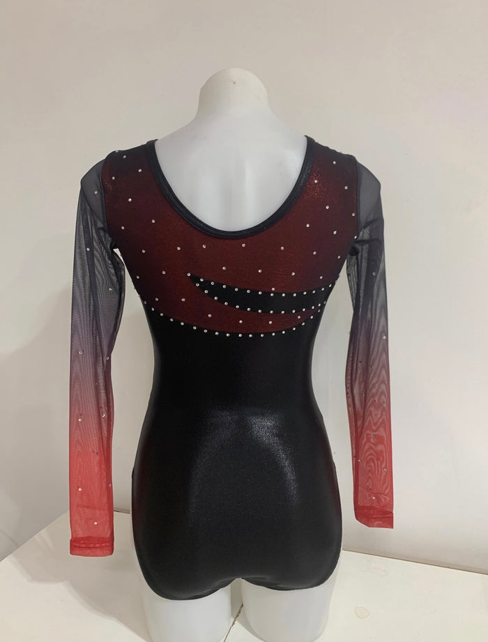 SNR Long Sleeve Mesh Leotard
