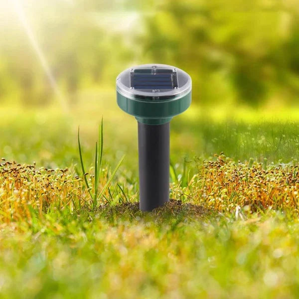 Solar powered mole repellent