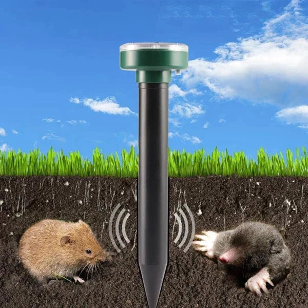 Solar powered mole repellent