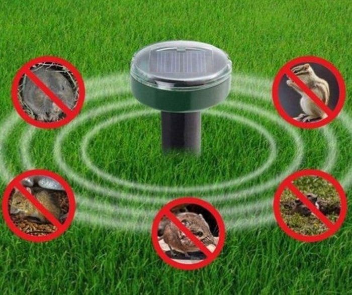 Solar powered mole repellent
