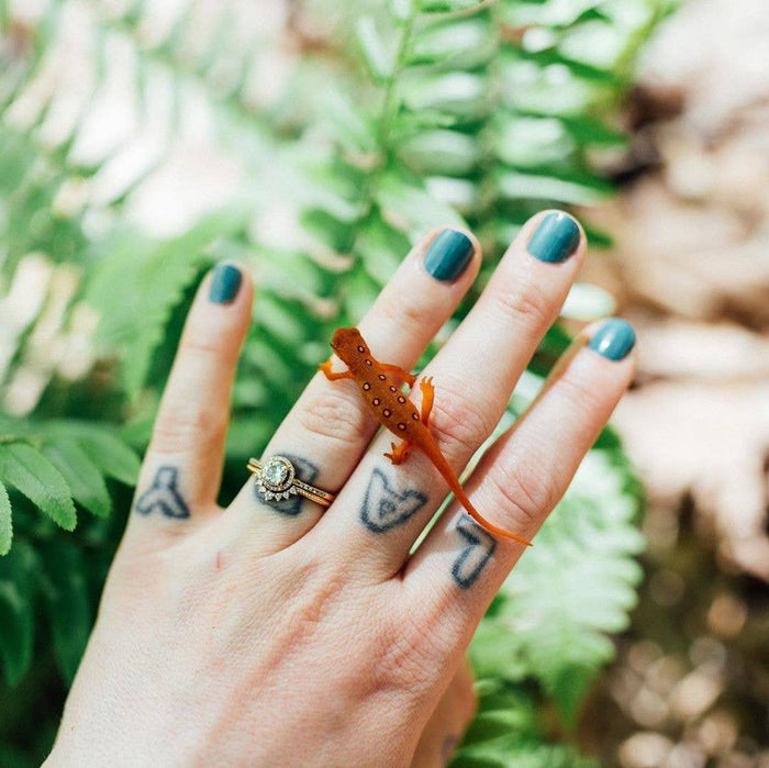 Spirulina Smoothie Nail Polish