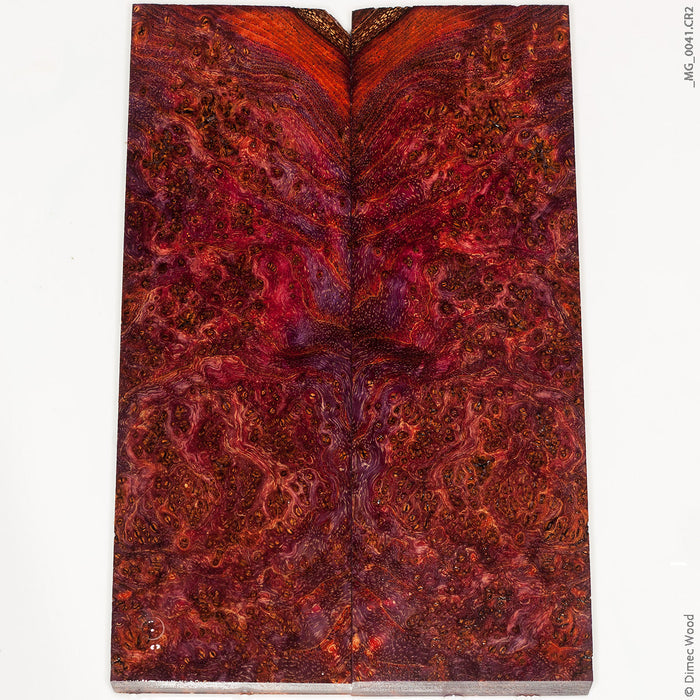 Stabilized wood black ash burl panels