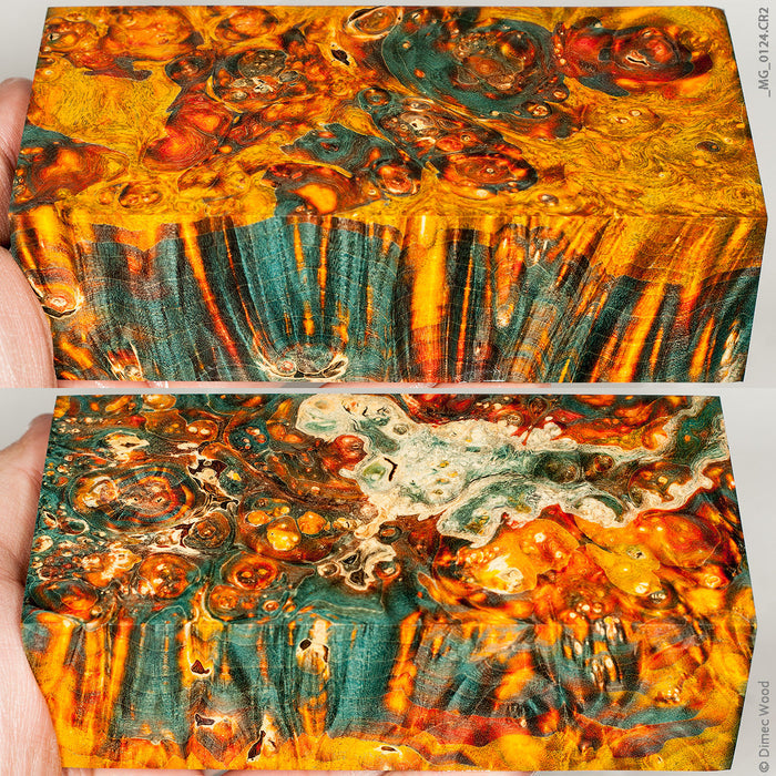 Stabilized wood box elder burl block