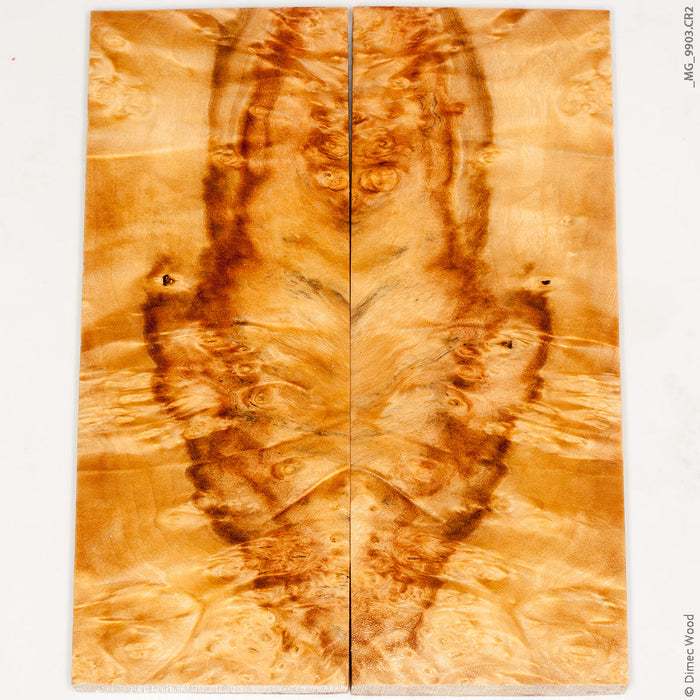 Stabilized wood box elder burl panels