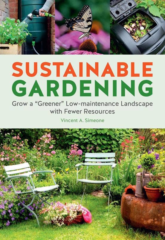 Sustainable Gardening: Low-Maintenance Landscape