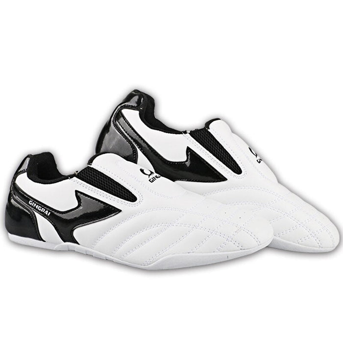 Taekwondo Shoes