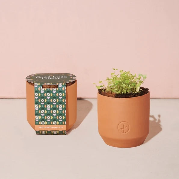 Tiny Terracotta Grow Kit