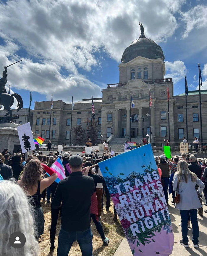 Trans Rights Are Human Rights Flag