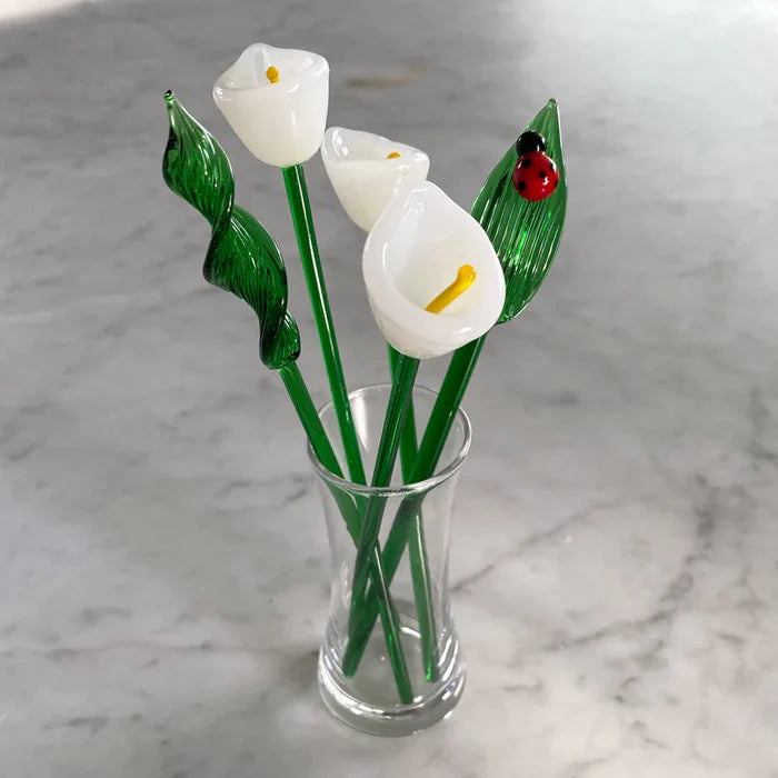Calla Lily