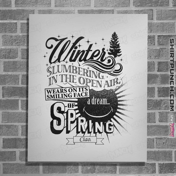 Posters / 4"x6" / White