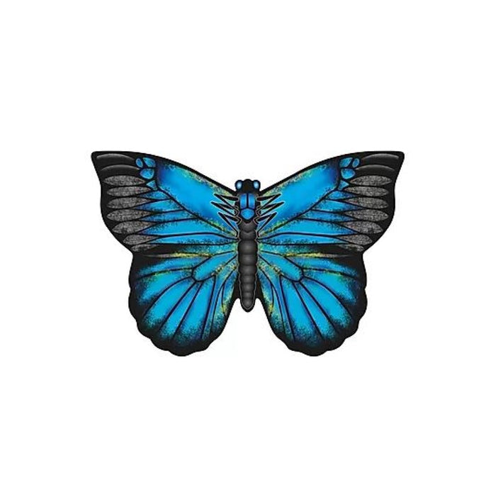 Blue Morpho