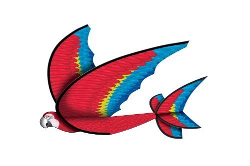 X-Kites Flexwing 3-D Nylon 25-inches Glider - YoYoSam