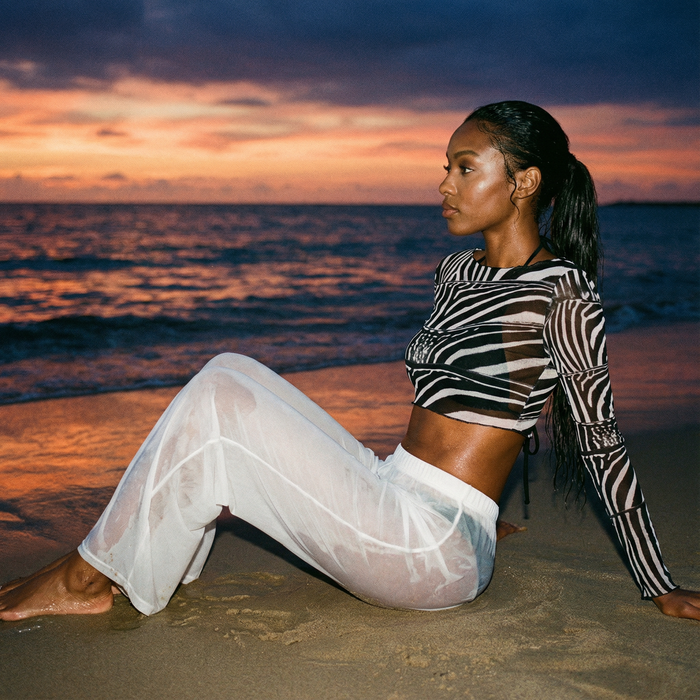 Zinae Sheer Crop Top